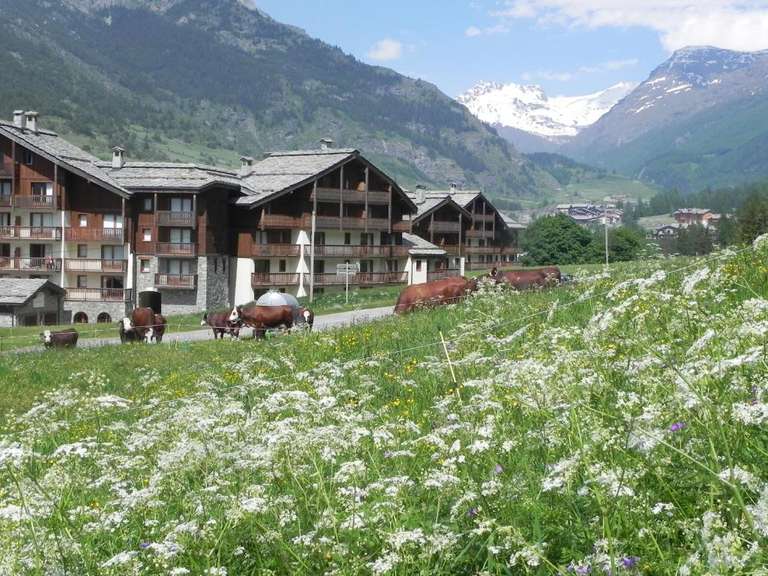 Séjour 8 jours / 7 nuits pour 4 personnes à Résidence Lagrange Les Valmonts 3* (Alpes - Val-Cenis) - Ex: du 29 juillet au 5 aout 2023