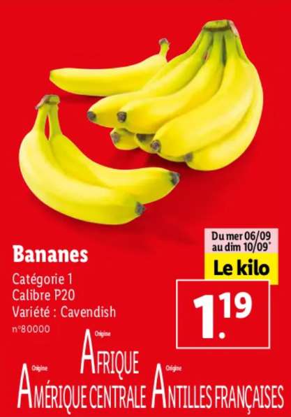 Bananes Cavendish - Cat.1, le Kg, Cal.P20, Origine Afrique, Amérique centrale ou Antilles françaises