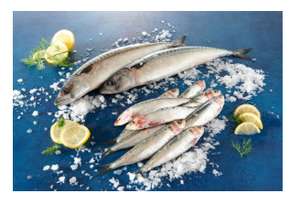 Sardines ou maquereaux - le kilo (Atlantique Nord Est ou Méditerranée)