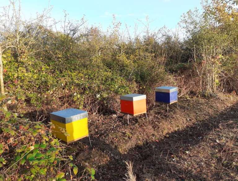 Atelier découverte de l'apiculture à Ferrières-en-Brie (77)