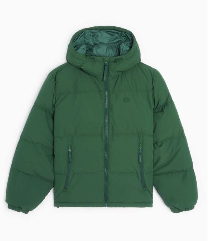 Manteau Lacoste Logo Men's Padded Hooded Jacket pour Homme - Vert ou Bleu, Tailles 44 à 58