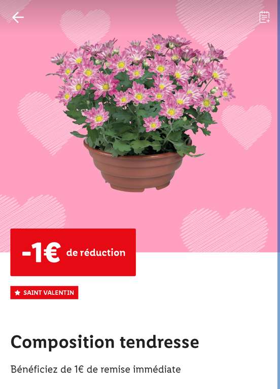 [Lidl+] 1€ de remise sur une sélection de fleurs en magasin
