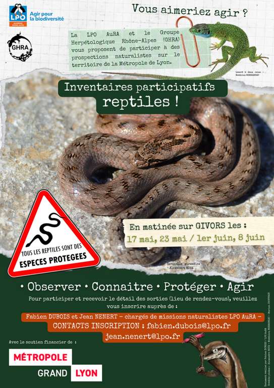 Inventaires participatifs des reptiles à Givors (69)