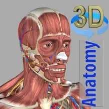 Application 3D Anatomy gratuit sur iOS
