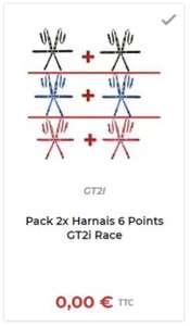 2X GT2I RACE 6-POINT Harness Pack (gt2i.com)