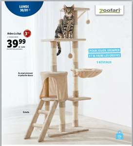 Arbre à chats Zoofari - 5 niveaux