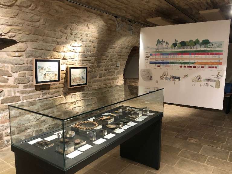 Visite du Site Archéologique de Roquemissou et des Expositions au Musée & Animations Gratuites - Montrozier (12)