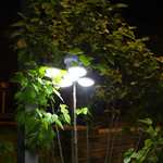 Lampe pliable portable - 45 LED, Solaire, IP65, rechargeable
