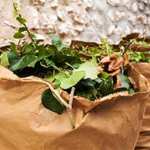 [Habitants] Distribution Gratuite de sacs pour les déchets végétaux | 11 mars - Clamart (92)