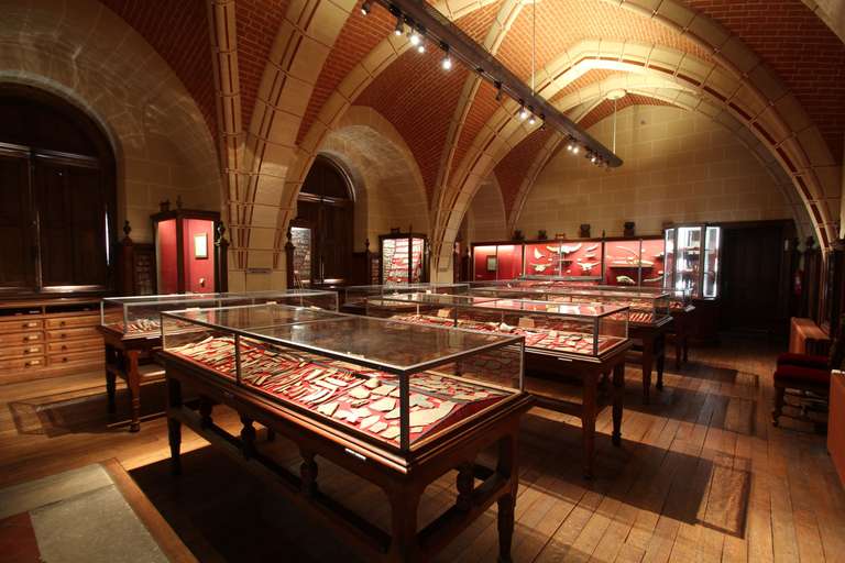 Entrée Gratuite au Musée d'Archéologie Nationale du Domaine de Saint Germain En Laye (78)