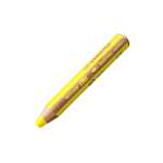 10 Crayons de couleur Stabilo woody 3in1