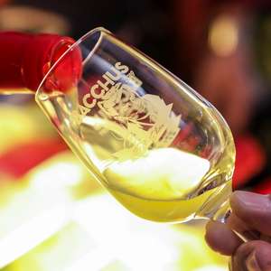 Entrée gratuite Fête des vins et de la gastronomie Bacchus + Verre de dégustation offert - Toulon (83)