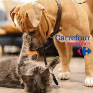 [Carte Carrefour] 3 mois offerts sur votre assurance santé chien/chat