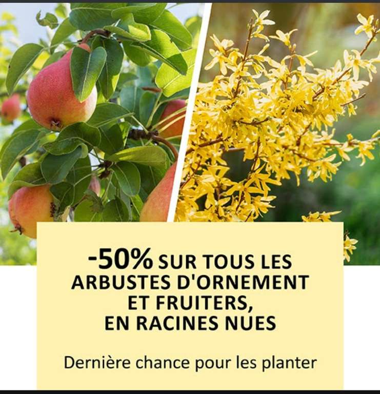 50% de réduction sur une sélection d'arbustes et fruitiers (promessedefleurs.com)