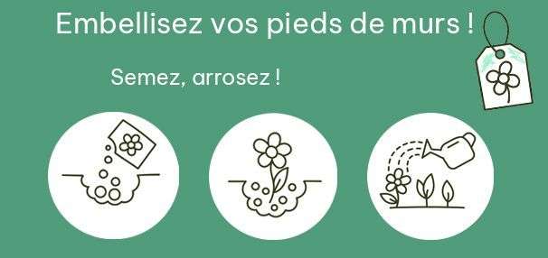 Distribution gratuite de graines pour fleurir les pieds de murs – Lagord (17), Chavagne (35), Verruyes (79), La Haye-Fouassière (44)