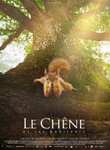 Séances de cinéma gratuites: Le Chêne, Princesse Mononoké - Forêt Déparmentale de Sainte-Apolline, Plaisir (78)