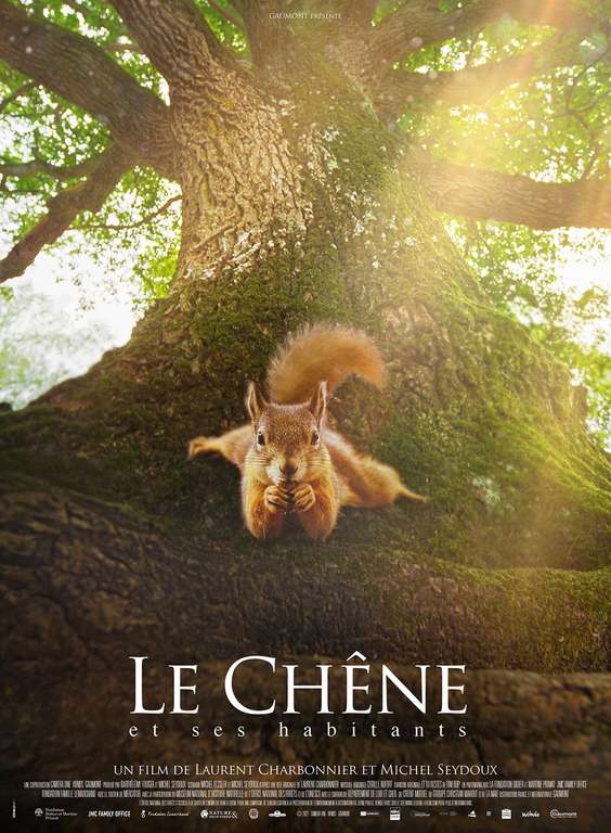 Séances de cinéma gratuites: Le Chêne, Princesse Mononoké - Forêt Déparmentale de Sainte-Apolline, Plaisir (78)