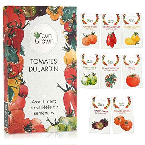 Kit de graines de tomates : Lot de 8 variétés de semences de tomate (Vendeur tiers)