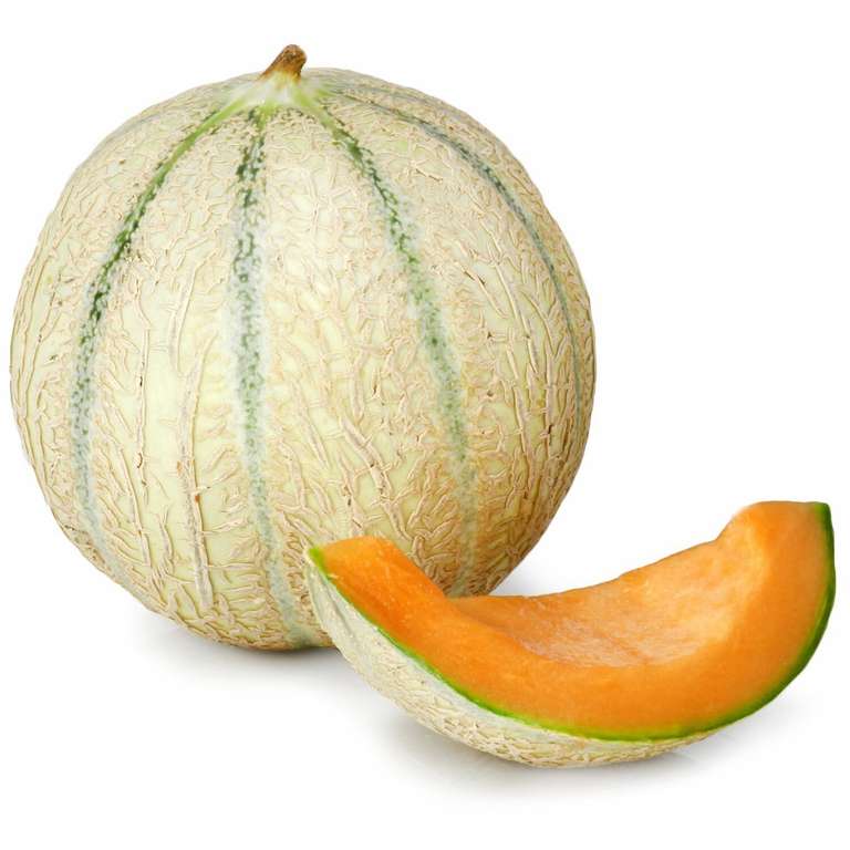 Melon Charentais - la pièce