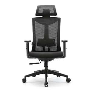 Chaise de bureau ergonomique Umi - Soutien Lombaires et Accoudoirs (Vendeur tiers)