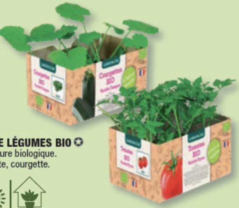 Lot de 6 plants de légumes Bio Gardenline - Variété au choix