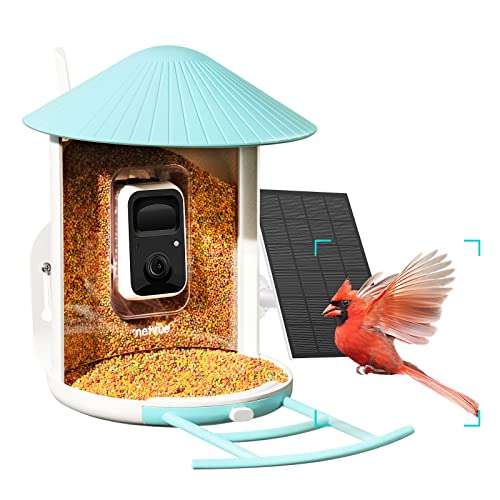 Caméra Oiseaux cachée dans une Mangeoire Netvue - WiFi, Alerte, Panneau Solaire (via coupon - vendeur tiers)