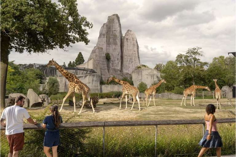 Entrée gratuite pour les moins de 13 ans du 12 au 14 avril au Parc Zoologique de Paris (75)