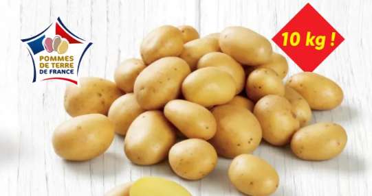 Sitemapcdatahttpwen2windecoocompomme De Terre 10 Kg Lidlnull