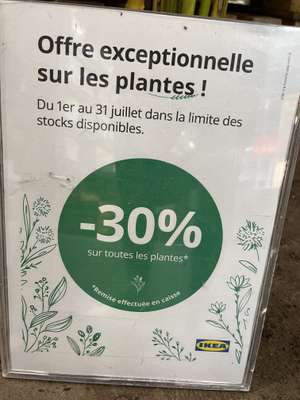 30% de réduction sur le rayon plantes - Orléans (45)
