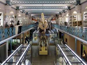 Entrées Gratuites + Visites Flash + Expositions Gratuites durant 3 jours au Musée d'Histoire Naturelle de Lille du 30/03 au 01/04 (59)