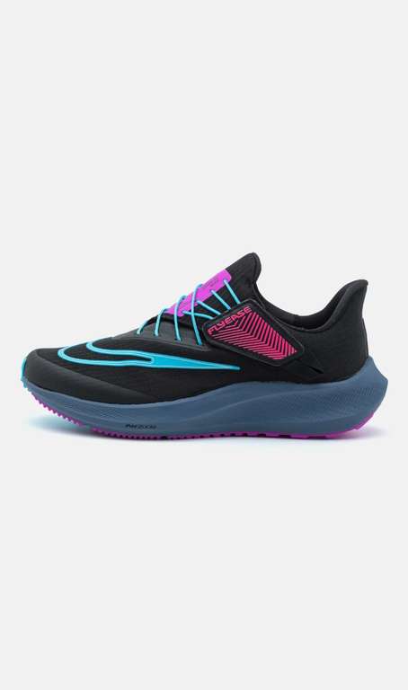 Chaussures femme Nike air zoom pegasus flyease 36 au 42