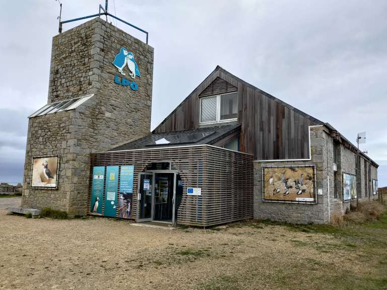 Sorties à Marée basse et Ornithologiques (sur réservation) & Entrée à la Station LPO & son musée gratuites - Pleumeur-Bodou (22)