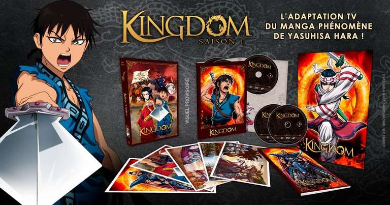 Coffret Blu-ray Kingdom Edition Collector Limitée - Saison 1