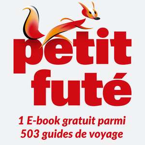 Un guide de voyage numérique eBook Le Petit Futé offert parmi une sélection de 503 guides (dématérialisé) - ebookfute.com
