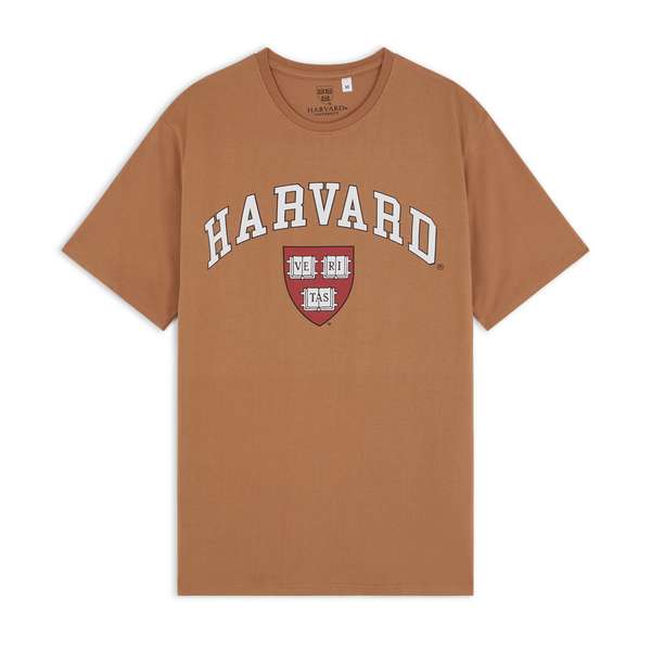 Tee-shirt homme US College Harvard - tailles XS au M, beige ou caramel