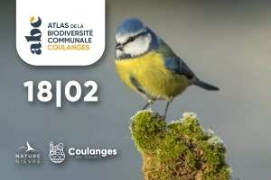 Initiation gratuite à la reconnaissance des chants d'oiseaux - Coulanges-lès-Nevers (58)