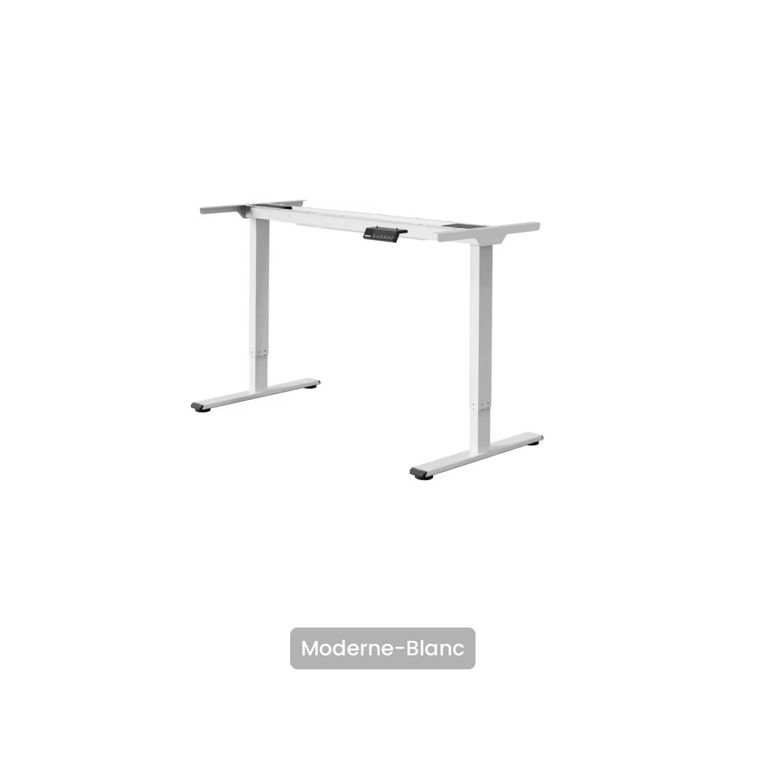 Armature de Bureau assis debout E1 Pro - Double Moteur, Trois Coloris — Flexispot