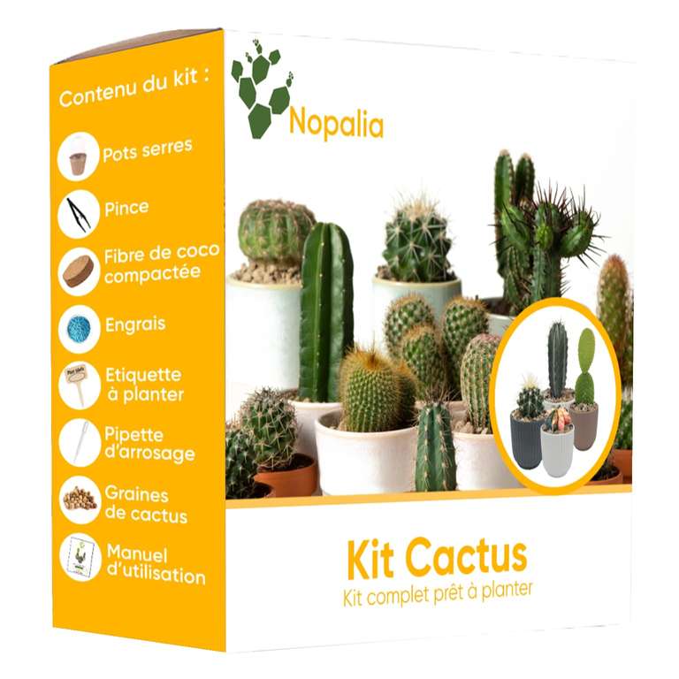 Kit a faire pousser Nopalia - mini cactus (vendeur tiers)