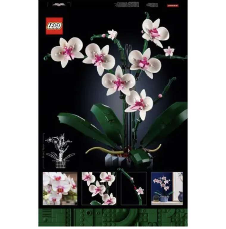 Sélection de jeux de construction Lego en promotion - Ex: Jeu de construction Lego Icons (10311) - L’Orchidée