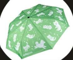Un parapluie offert pour toute commande de plus de 39€