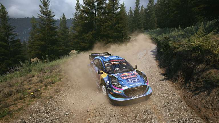 WRC 9 FIA World Rally Championship Standard Edition sur PS4 & PS5  (Dématérialisé) –
