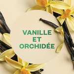 Désodorisant Maison AirWick - Kit Diffuseur Electrique + 3 Recharges - Parfum Vanille & Orchidée
