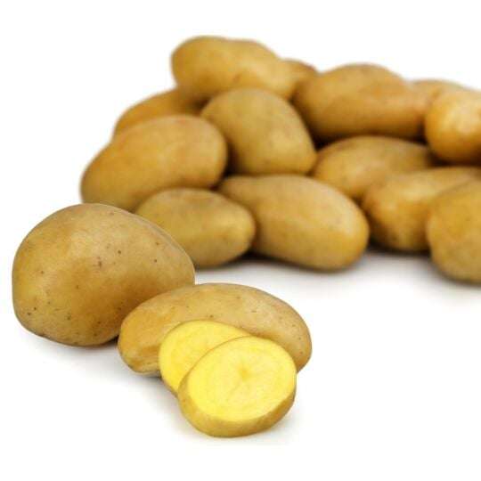 Pommes de terre de consommation blanche - le filet de 5kg