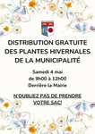 Distribution gratuite de plantes hivernales (plantes et bulbes) par les jardiniers des Services Techniques de Pacy-sur-Eure (27)