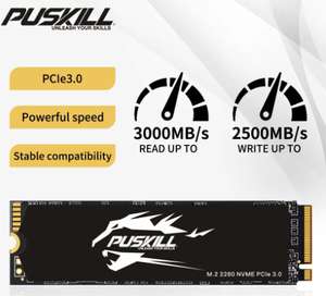 SSD interne M.2. NVMe Puskill - 1 To