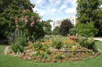 [Habitants] Distribution Gratuite de Plantes et de Fleurs - Vanves (92)