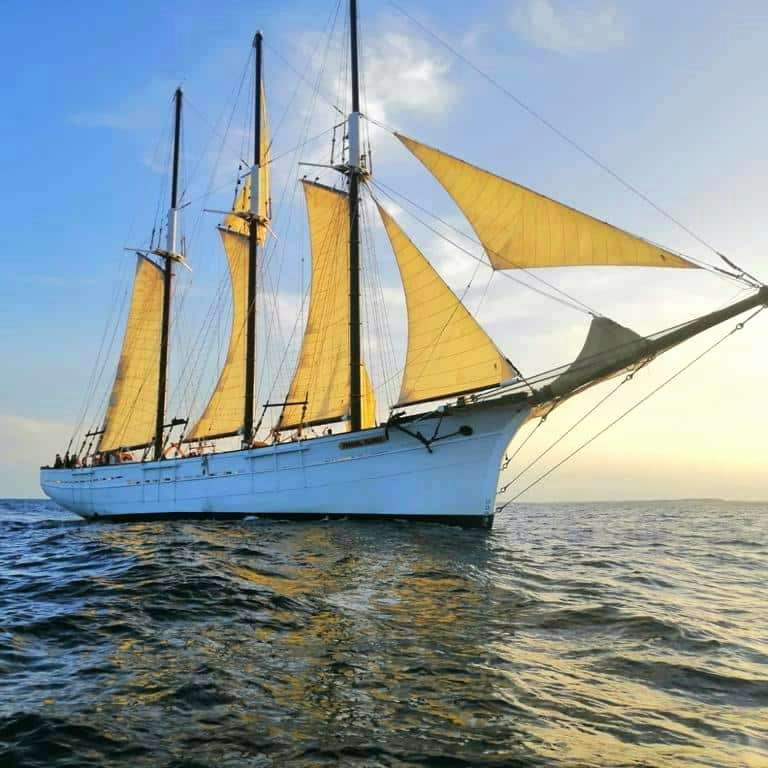 Visite gratuite du navire historique "Pascual Flores" - Port-Vendres (66)