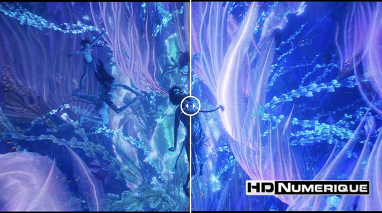 Blu-ray 4K Avatar 2 : La Voie de l'eau (+Blu-Ray Bonus)