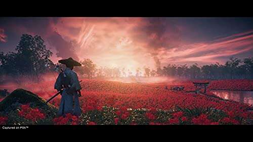 Jeu Ghost Of Tsushima Director's Cut sur PS4