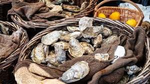 Dégustation d'huîtres gratuite le 10/03 - Les Saisies (73)